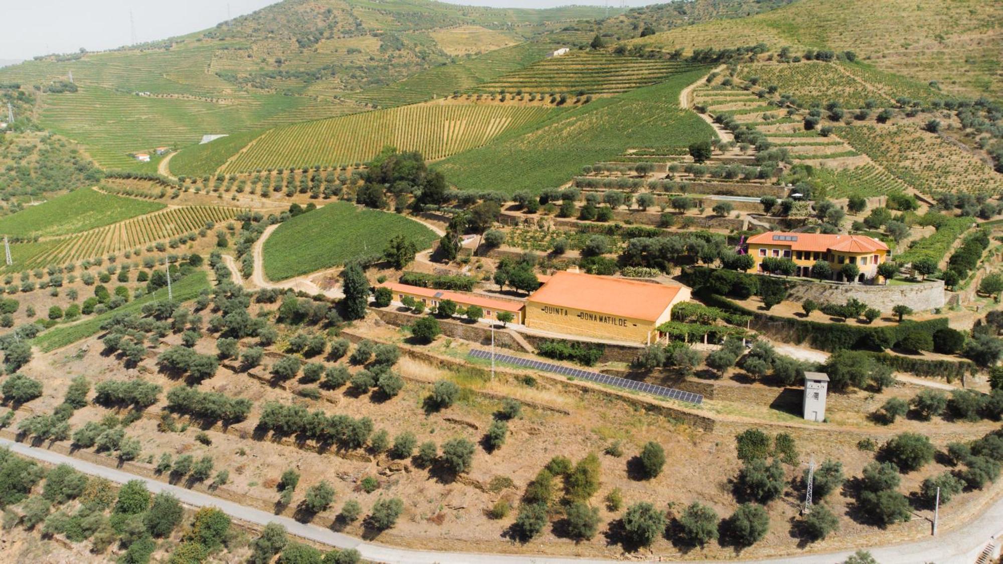 Quinta Dona Matilde Hotel Peso da Régua Exterior foto